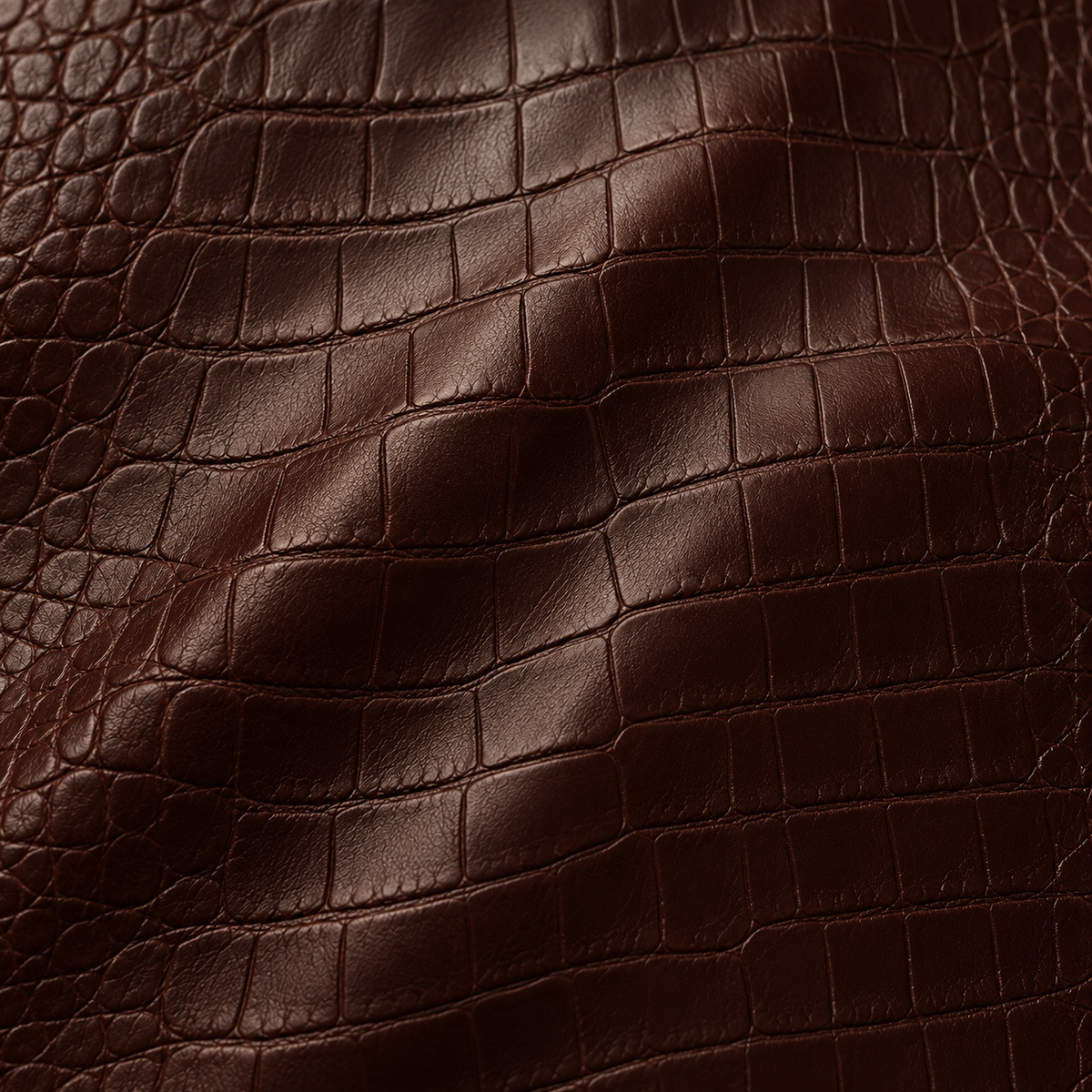 Alligator Embossed